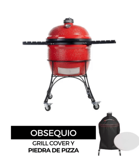 Asador Kamado Joe Big Joe I